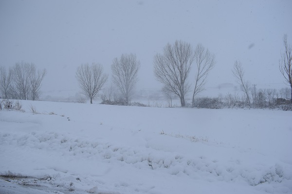 Όμορφες χειμωνιάτικες φωτογραφίες από τον χιονισμένο Βόρειο Έβρο !!!